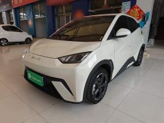 BYD Seagull 2023 Freedom Edition - ფოტო 2