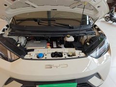 BYD Seagull 2023 Freedom Edition - ფოტო 20