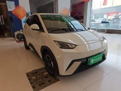 BYD Seagull 2023 Freedom Edition - ფოტო 4
