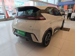 BYD Seagull 2023 Freedom Edition - ფოტო 7
