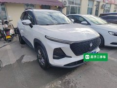 Baojun RS-3 2020 1.5L CVT 24-Hour Online Luxury Edition - ფოტო 4