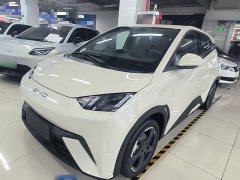 BYD Seagull 2023 Freedom Edition - ფოტო 1