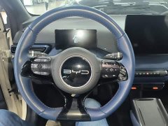 BYD Seagull 2023 Freedom Edition - ფოტო 11