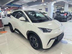 BYD Seagull 2023 Freedom Edition - ფოტო 4