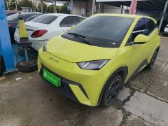 BYD Seagull Freedom Edition - ფოტო 1