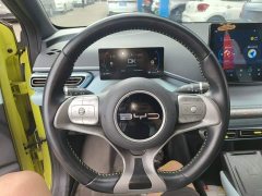 BYD Seagull Freedom Edition - ფოტო 11