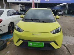 BYD Seagull Freedom Edition - ფოტო 3