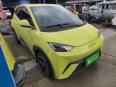 BYD Seagull Freedom Edition - ფოტო 4
