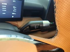 Geely Galaxy Xingyao 8 130km EM-i Premium Edition - ფოტო 14