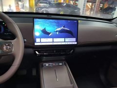 Wuling Starlight 730 New Energy PHEV 125km Luxury - ფოტო 13