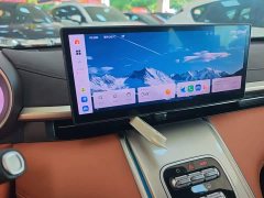 ORA Lightning Cat 555km Deluxe Edition - ფოტო 13