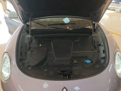ORA Lightning Cat 555km Deluxe Edition - ფოტო 20
