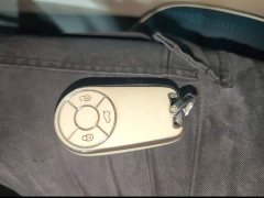 ORA Lightning Cat 555km Deluxe Edition - ფოტო 9