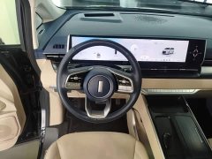 Great Wall WEY Shanshan New Energy 2023 Four-Wheel Drive Flagship Edition - ფოტო 11