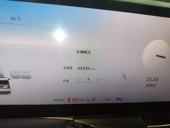Great Wall WEY Shanshan New Energy 2023 Four-Wheel Drive Flagship Edition - ფოტო 12