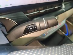 Great Wall WEY Shanshan New Energy 2023 Four-Wheel Drive Flagship Edition - ფოტო 14