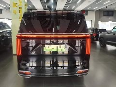 Great Wall WEY Shanshan New Energy 2023 Four-Wheel Drive Flagship Edition - ფოტო 6