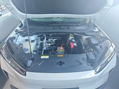 Dongfeng SKY EV01 2024 530km PRO Elite Edition - ფოტო 20