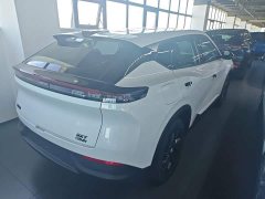 Dongfeng SKY EV01 2024 530km PRO Elite Edition - ფოტო 7