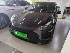 Tesla Model Y Long Range All-Wheel Drive - ფოტო 2