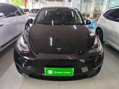 Tesla Model Y Long Range All-Wheel Drive - ფოტო 3