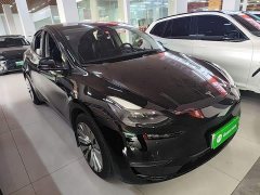 Tesla Model Y Long Range All-Wheel Drive - ფოტო 4