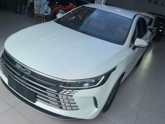 BYD Destroyer 05 Champion Edition DM-i 55KM Luxury - ფოტო 1