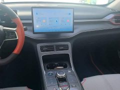 BYD Destroyer 05 Champion Edition DM-i 55KM Luxury - ფოტო 13
