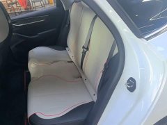 BYD Destroyer 05 Champion Edition DM-i 55KM Luxury - ფოტო 17