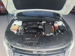 BYD Destroyer 05 Champion Edition DM-i 55KM Luxury - ფოტო 20