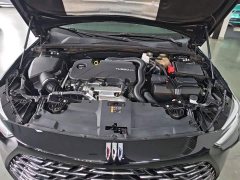 Buick Regal 2024 25T Premium Comfort Edition - ფოტო 20