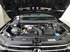 Volkswagen Tiguan L 2025 Outstanding Edition 300TSI Automatic Two-Wheel Drive Dragon Ascendant Version - ფოტო 20