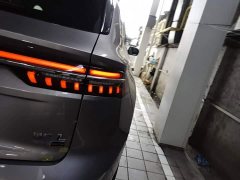 Geely Xingyue L Oriental Radiance 2.0T Automatic Moonlight Edition - ფოტო 8