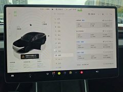 Tesla Model Y Rear-Wheel Drive - ფოტო 12