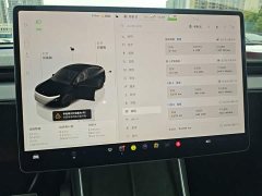 Tesla Model Y Rear-Wheel Drive - ფოტო 13