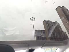 Tesla Model Y Rear-Wheel Drive - ფოტო 18