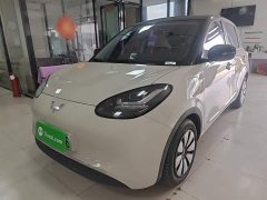 Wuling Binguo 333km Joy Edition - ფოტო 1
