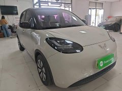 Wuling Binguo 333km Joy Edition - ფოტო 4