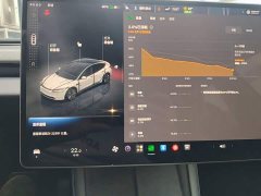 Tesla Model 3 Rear-Wheel Drive - ფოტო 12