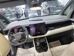 Zeekr Geely Zeekr 009 Seven-Seat Aisle Version AWD 108kWh - ფოტო 10