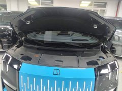 Zeekr Geely Zeekr 009 Seven-Seat Aisle Version AWD 108kWh - ფოტო 20