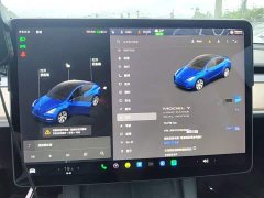 Tesla Model Y Long Range All-Wheel Drive - ფოტო 12