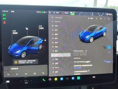 Tesla Model Y Long Range All-Wheel Drive - ფოტო 13
