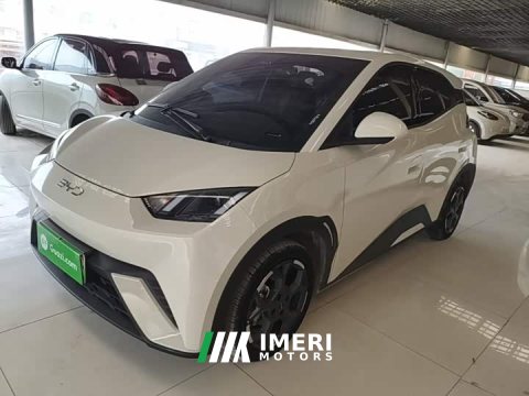 2024 BYD Seagull 2025 305km Freedom Edition - ავტომობილი ჩინეთიდან