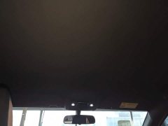 BYD Seagull 2025 305km Freedom Edition - ფოტო 14