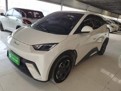 BYD Seagull 2025 305km Freedom Edition - ფოტო 2