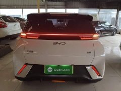BYD Seagull 2025 305km Freedom Edition - ფოტო 4