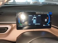BYD Seagull 2025 305km Freedom Edition - ფოტო 8