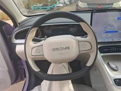 Geely Star Wish 2026 310km Dream Edition - ფოტო 11