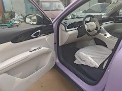 Geely Star Wish 2026 310km Dream Edition - ფოტო 16